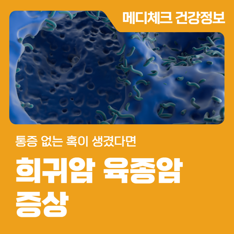 희귀암 육종암 증상 통증 없는 혹이 생겼다면