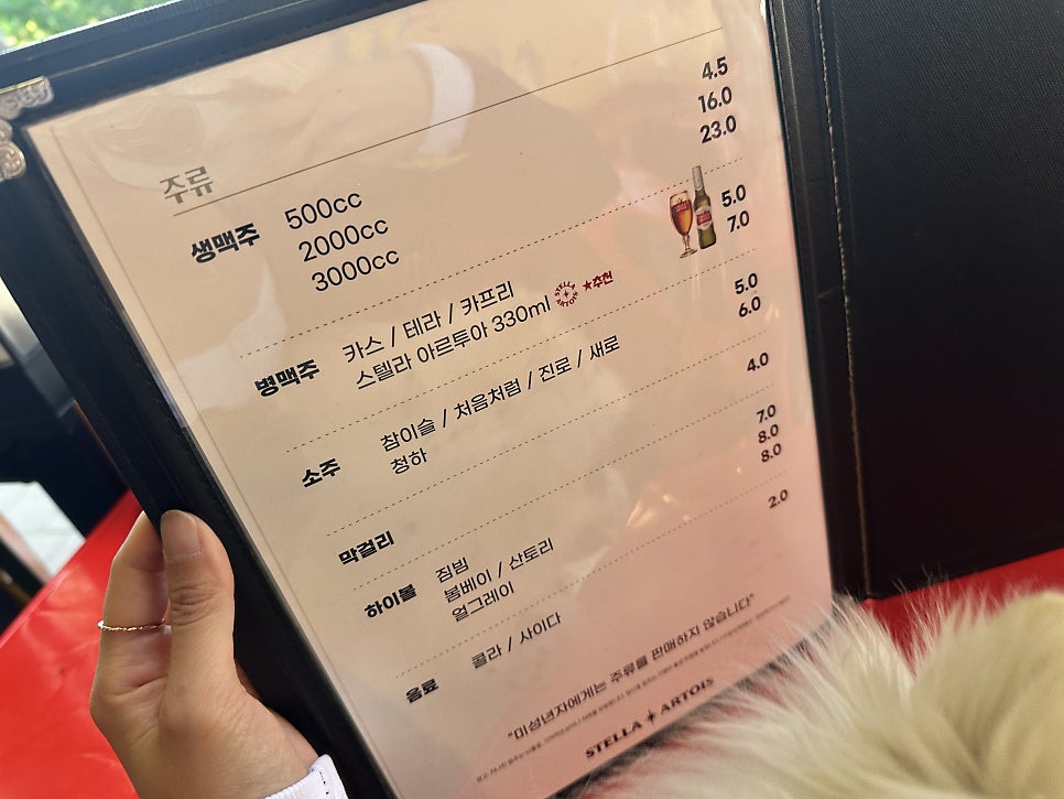 다조아 사진 4