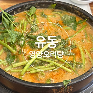 광주 영양오리탕 오리탕 맛집 추천, 현지인이 자주 가는 영양오리탕 후기