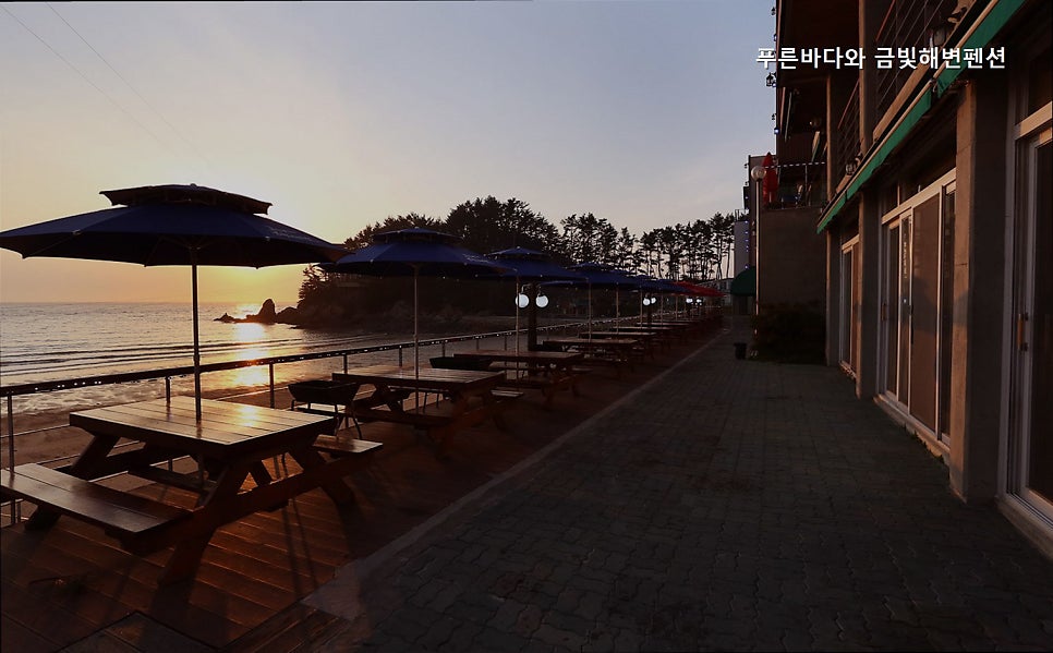 푸른바다와금빛해변 2호점 사진 1