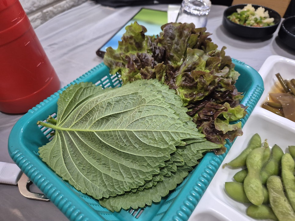 맛대로 사진 4