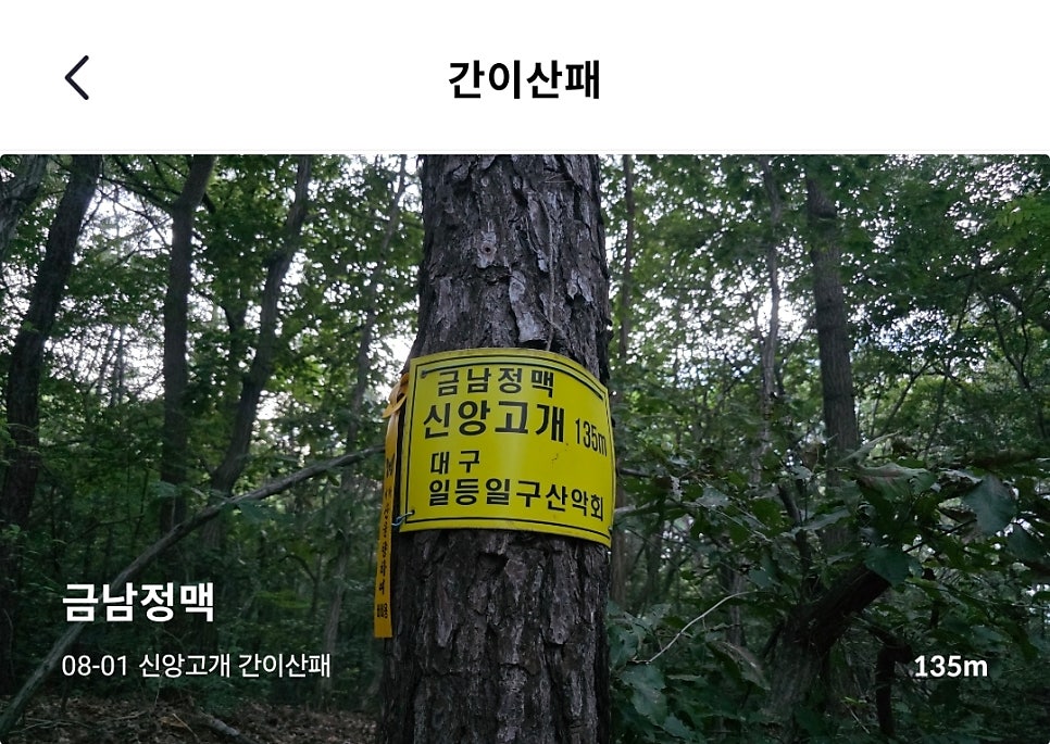 금성산 사진 2
