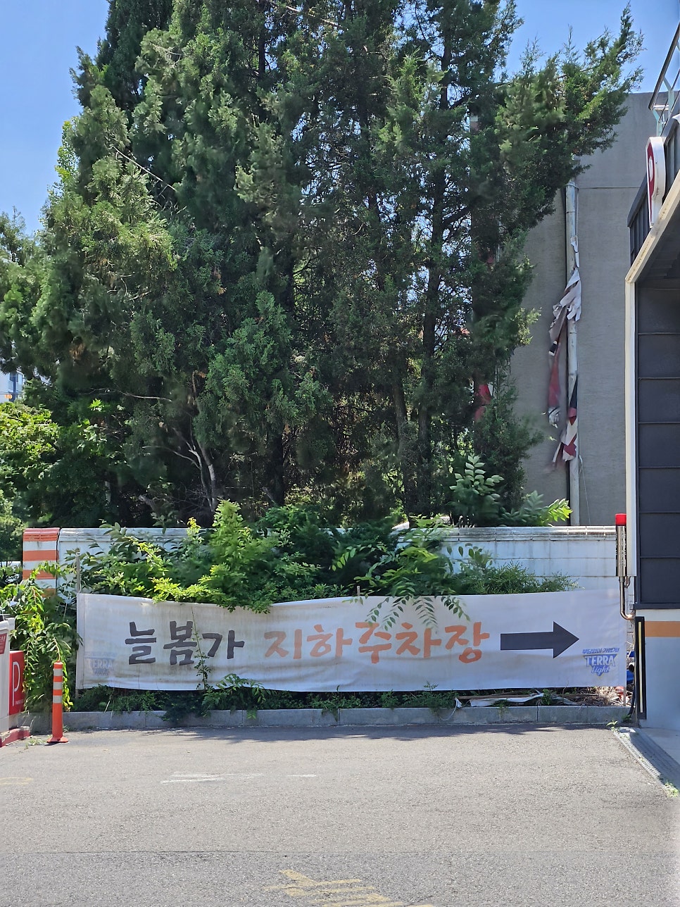 늘봄가 사진 3
