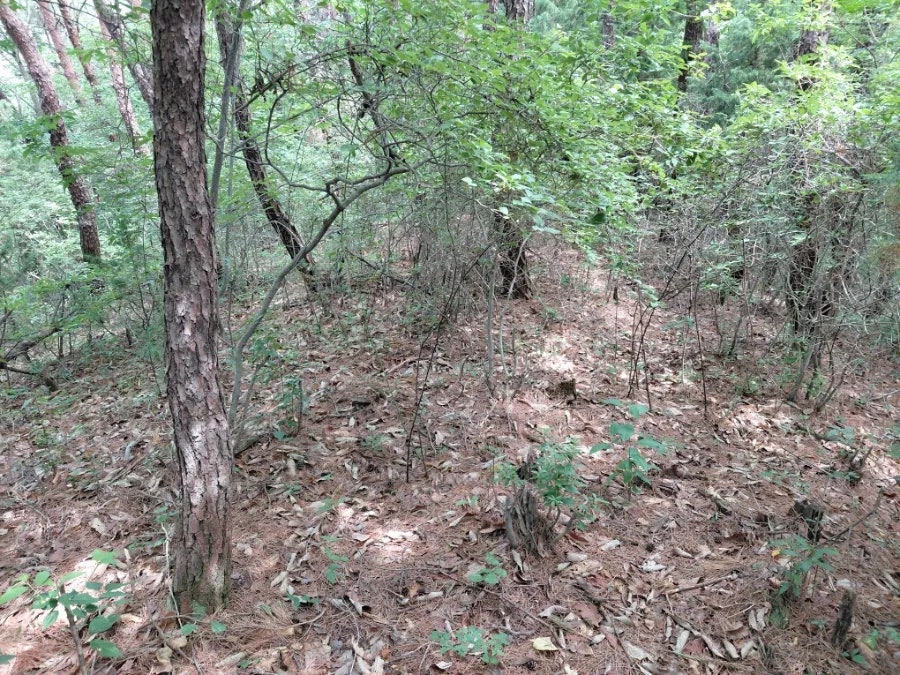 건지산 사진 5