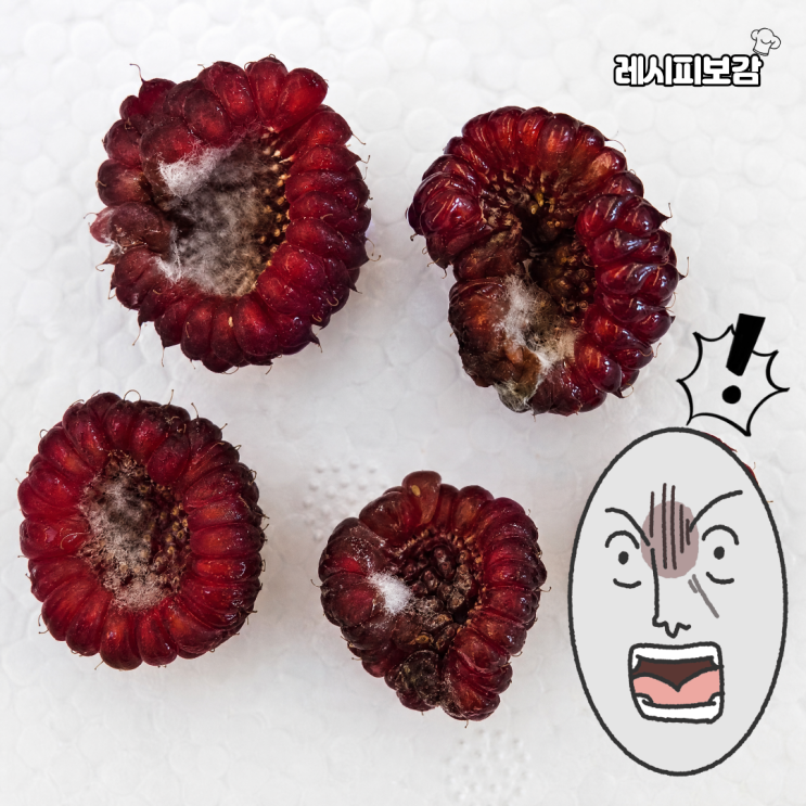  산딸기 흰색 곰팡이, 실수로 섭취했을 때 응급 대처법