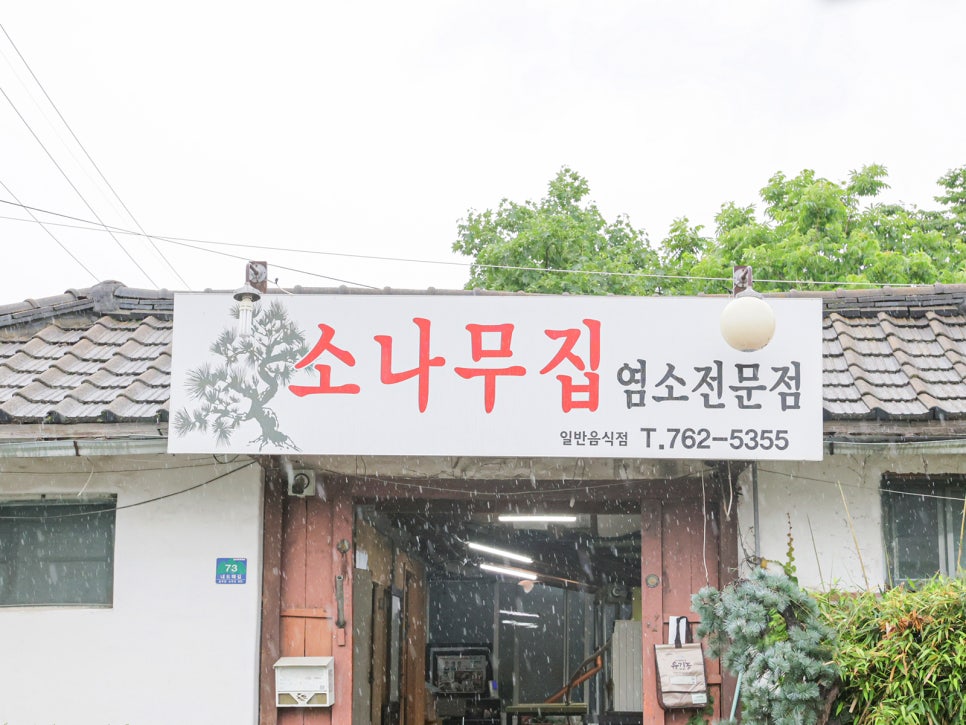 소나무집 사진