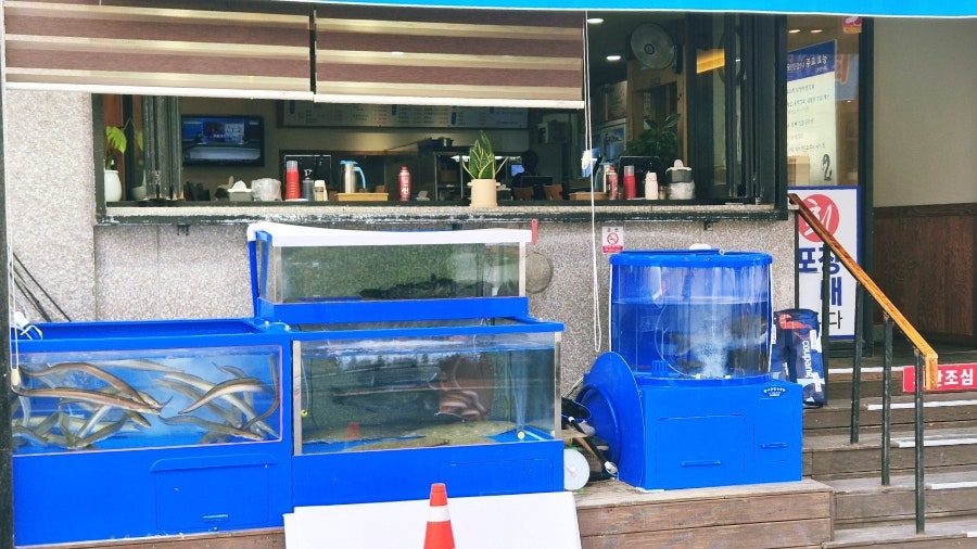 여수회바다 사진 5