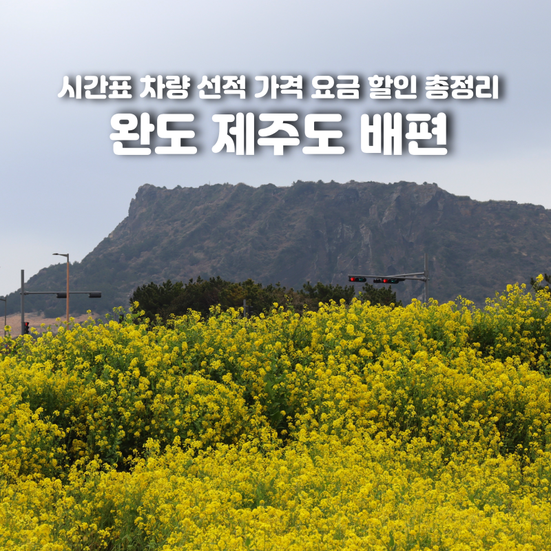 완도 제주도 배편 시간표 차량 선적 가격 요금 할인 총정리