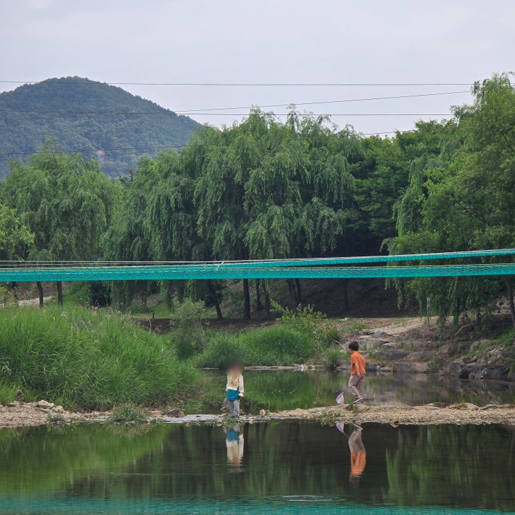  캠핑 - 완주 고산자연휴양림 무궁화오토캠핑장 (80번 사이트)