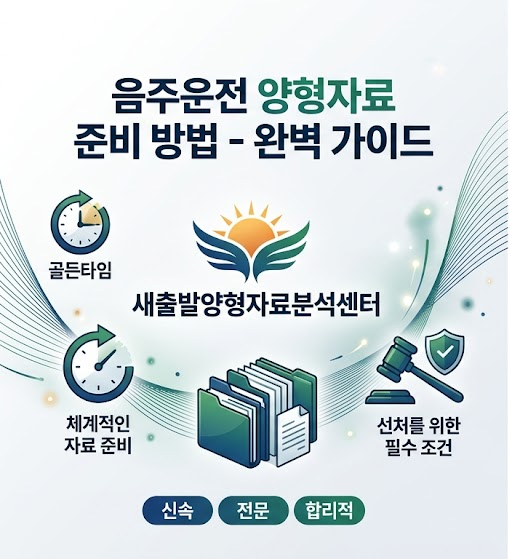 음주운전 양형자료 이대로만 하세요 필독 관련 사진