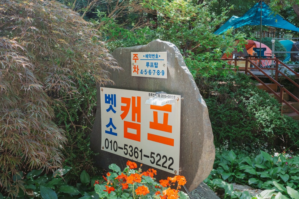 벳소캠프 사진
