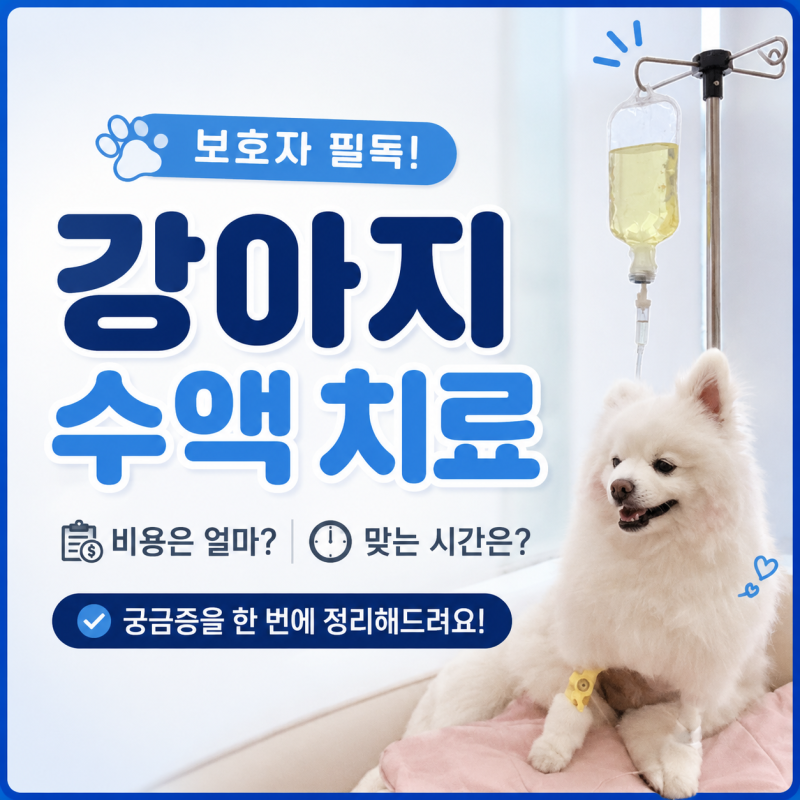 강아지 수액 맞는 시간 피하수액 비용 정리