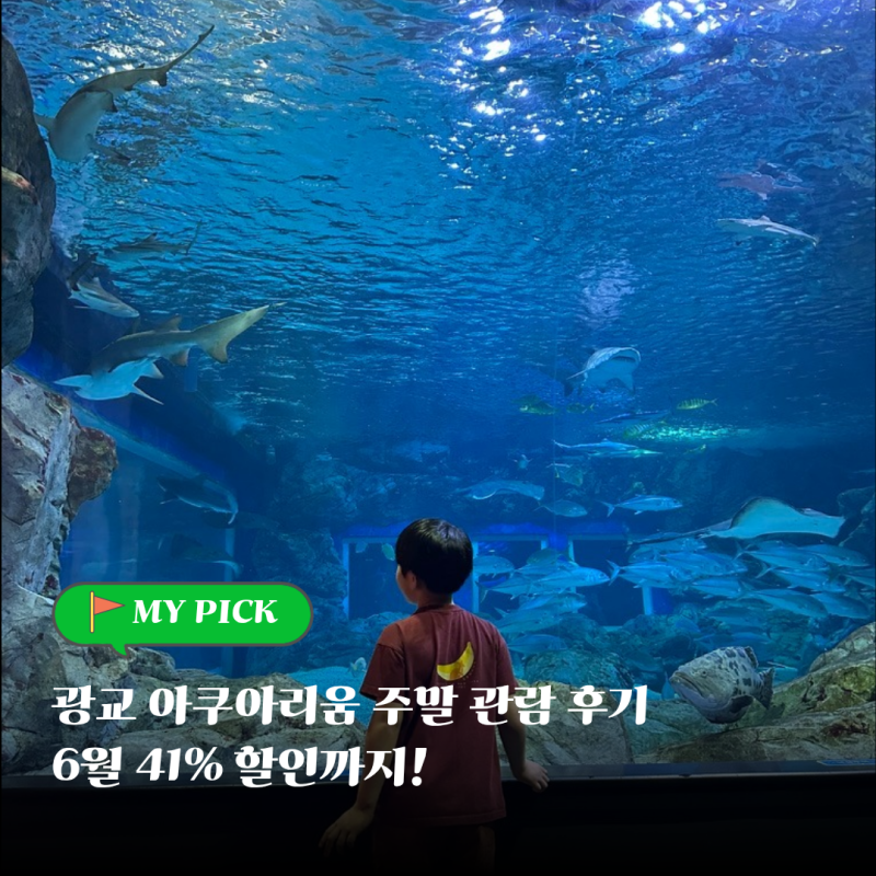 광교 아쿠아리움 아쿠아플라넷 주말 관람 후기(주차 할인)