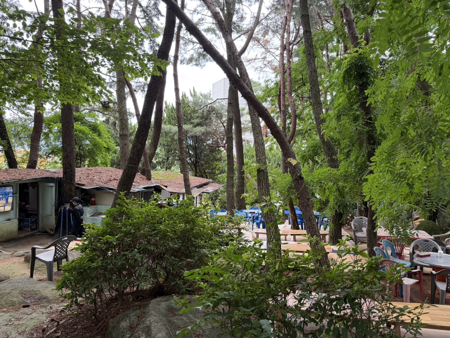 솔밭집 사진 3