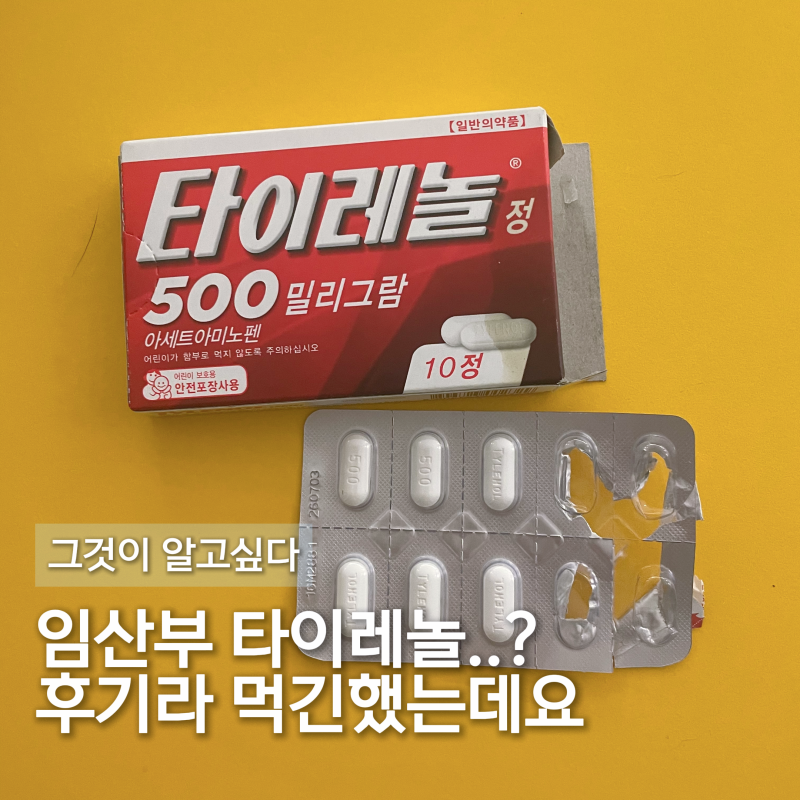 임산부 타이레놀 먹어도 될까 ( 비염, 축농증, 편도염 해결방법 후기 )