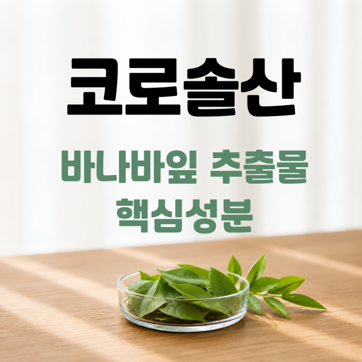 코로솔산 효능 부작용 복용법 완벽 정리 ㅣ 바나바잎추출물 핵심성분