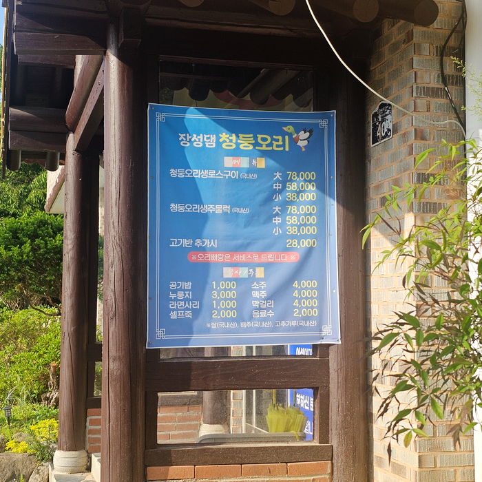 장성댐 청둥오리 사진 2