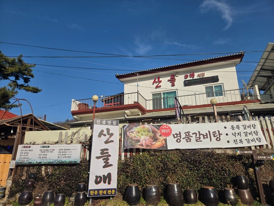 산들애 사진 3