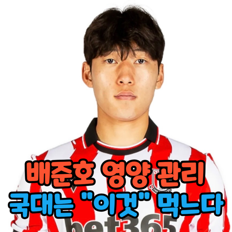 일반인 식단과 뭐가 다를까? 배준호 영양 관리 비교해 보니 "이것" 다르네요
