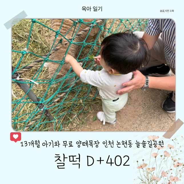 [26.06.07.] 찰떡일기 (92) :: 13개월 아기와 함께 한 인천 논현동 늘솔길공원 무료 양떼목장 방문 ....