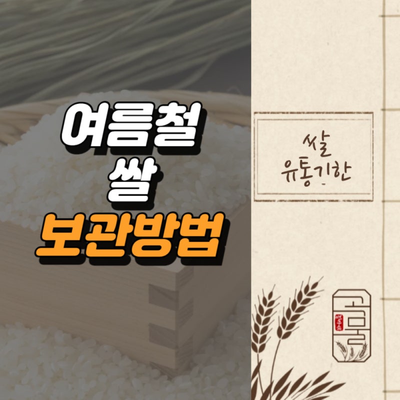 여름철 쌀 보관법, 쌀 곰팡이 판별 쌀벌레 없는 법 천연 꿀팁