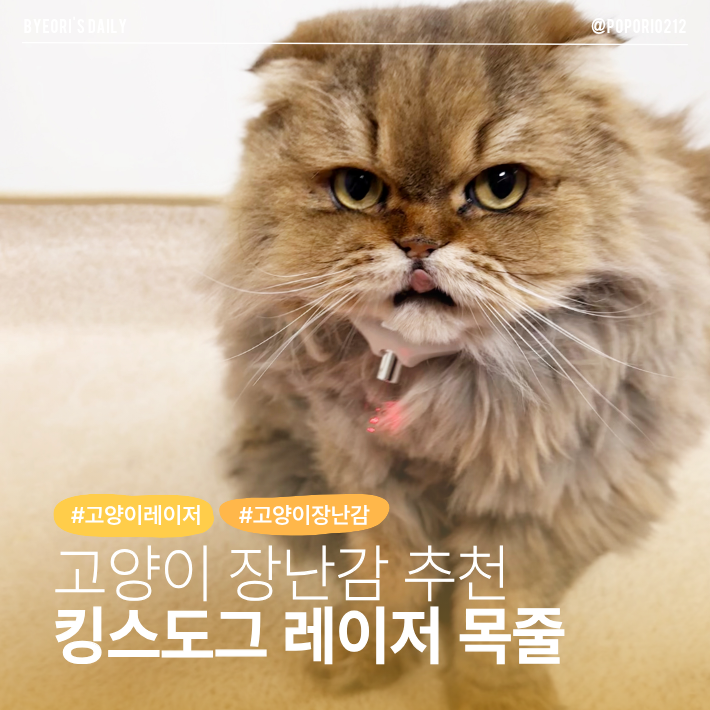 고양이 장난감 추천 킹스도그 고양이 레이저 목줄 | 고양이 장난감 레이저 추천