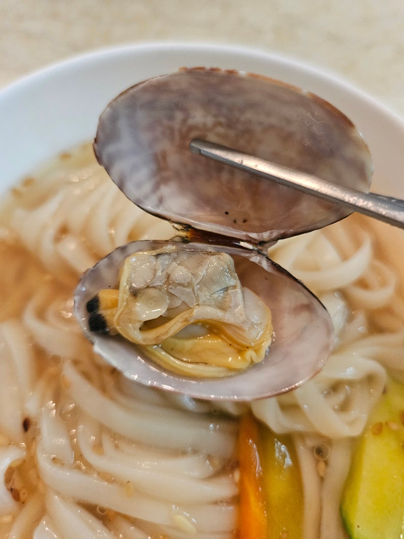 이마트 바지락 칼국수 집에서 끓이기! 알이 탱글탱글한 제철 바지락 요리 솔직후기✨