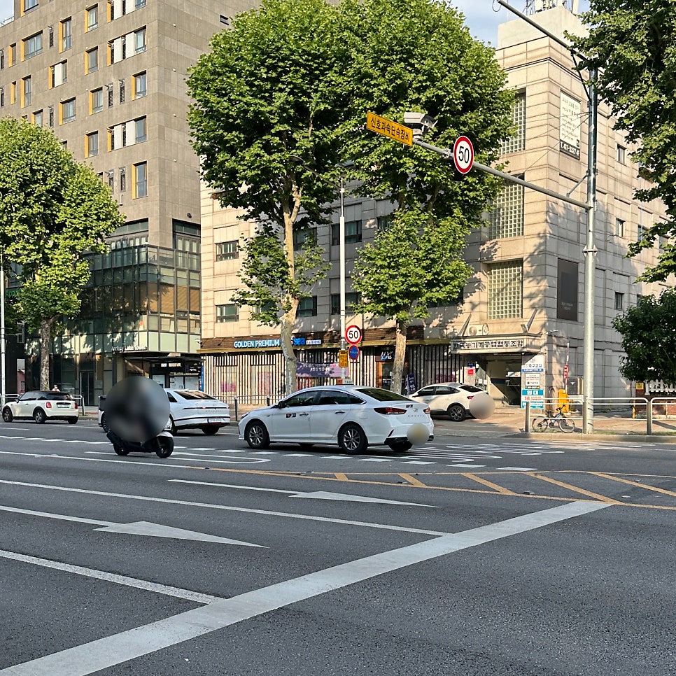 선남씨 사진 2