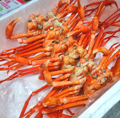 포항 홍게무한리필 (택배&포장&홀)