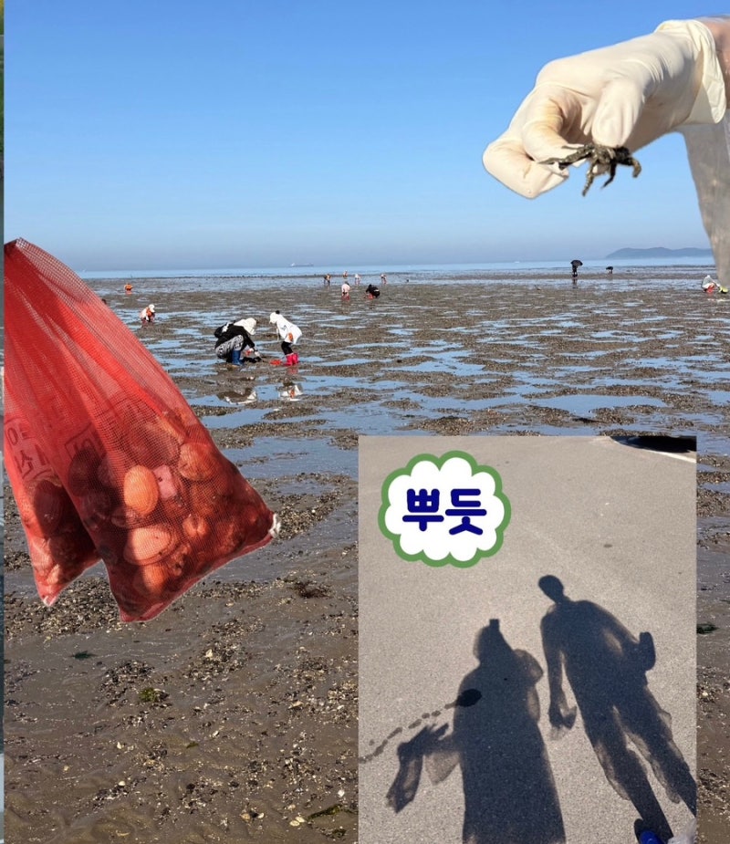 [서해 갯벌체험] 보령 대천 '군헌갯벌체험장' 후기ㅣ많이 잡는 필수꿀팁, 포인트, 해감 방법