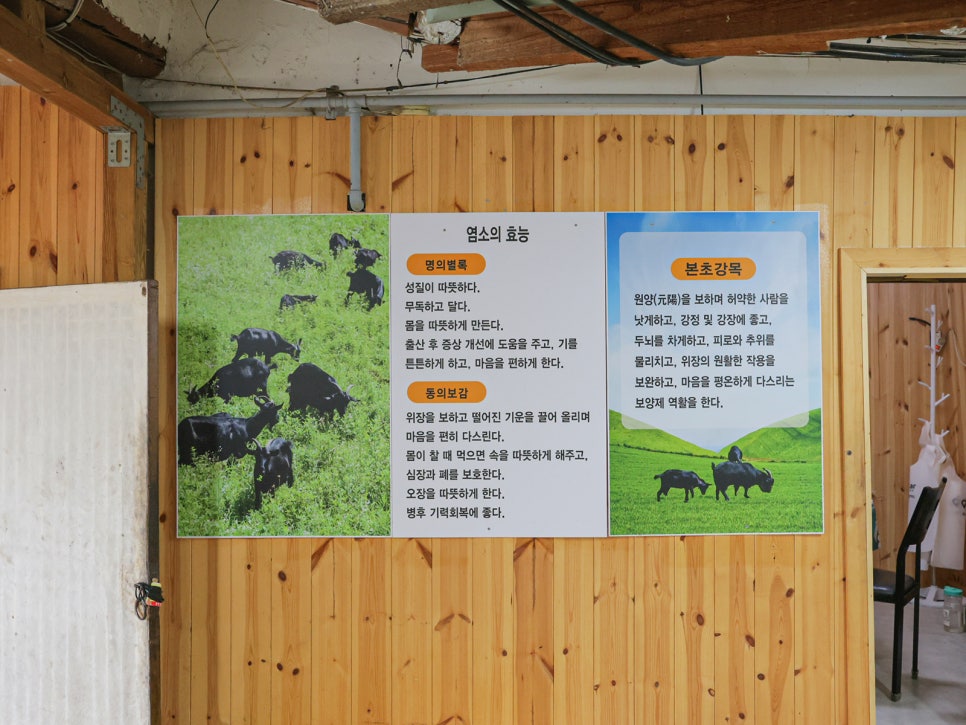 소나무집 사진 4
