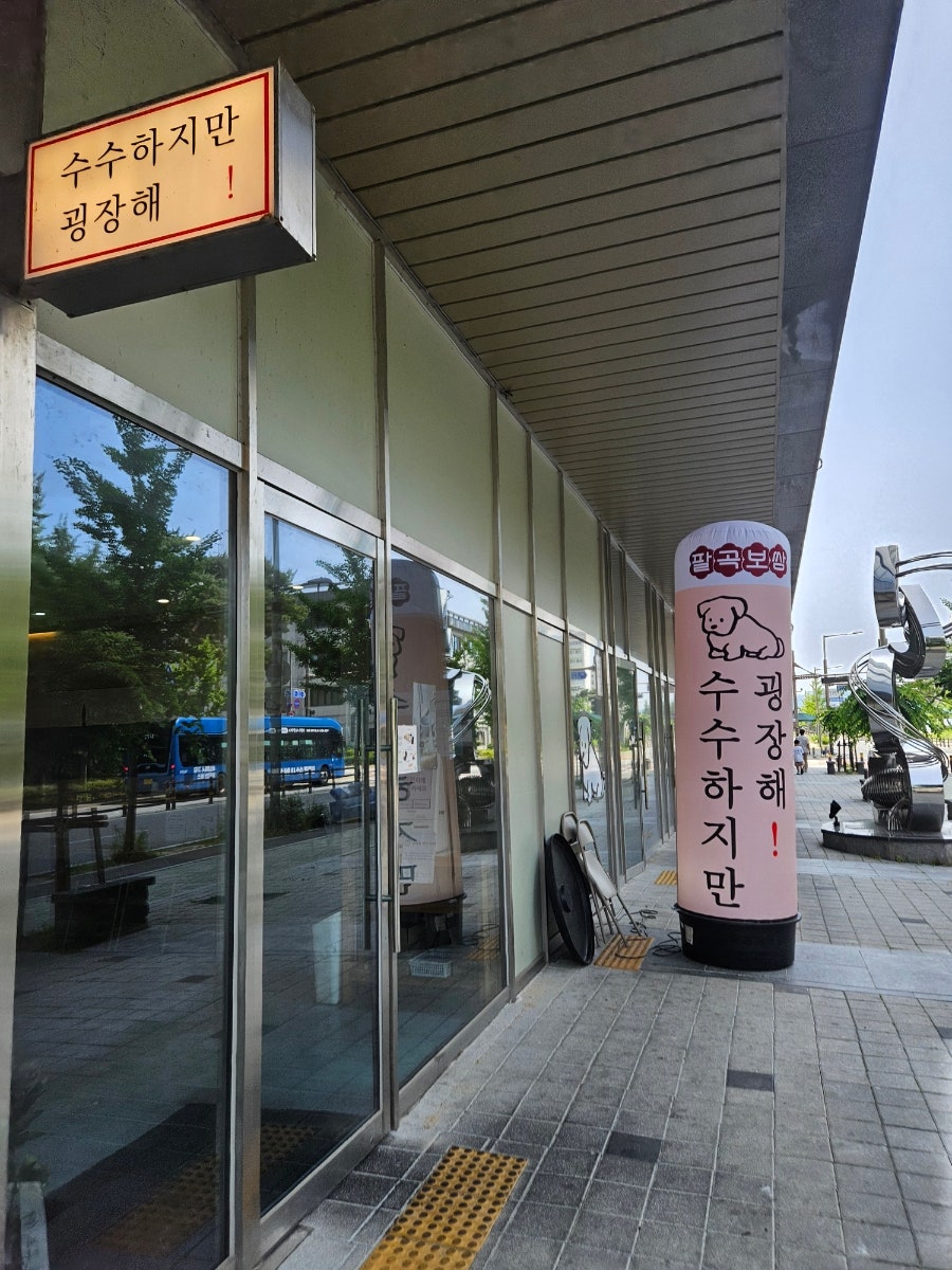 수수하지만굉장해 사진 1