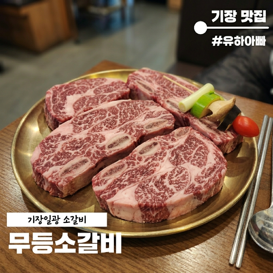  인생 소갈비집 찾았네요! 기장 일광 가족외식 무등소갈비, 내돈내산 맛집 인정