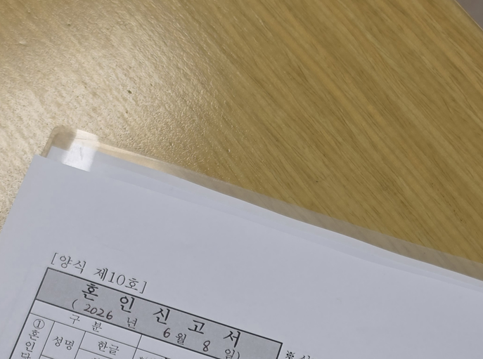 거목 사진 4
