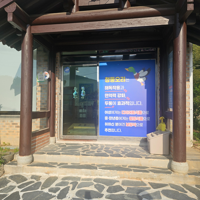 장성댐 청둥오리 사진 3