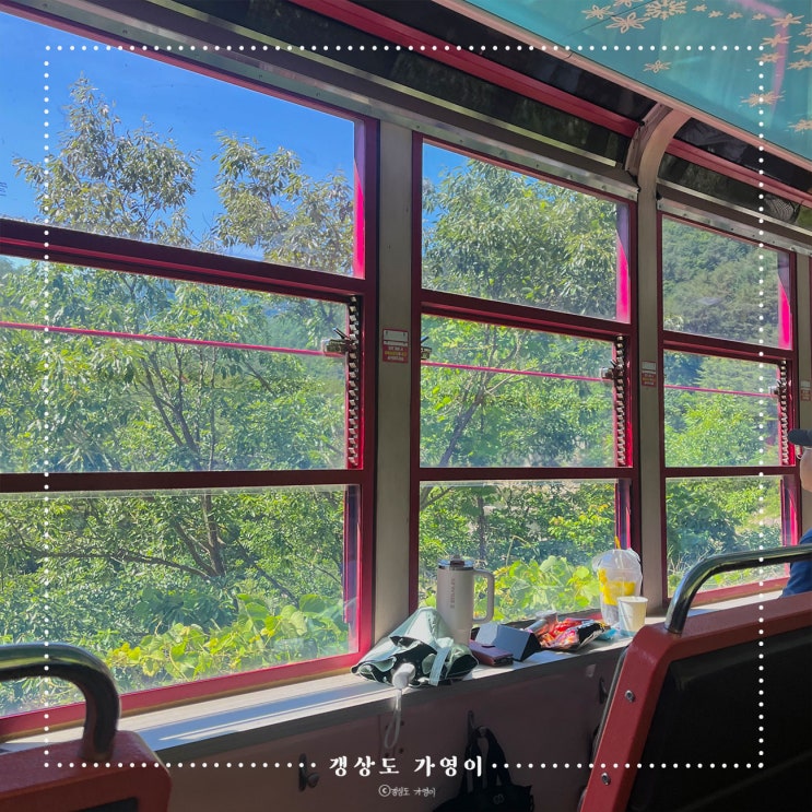  백두대간 협곡열차 탑승후기 : 좌석 꿀팁, 노선도, 경유역 먹거리 등