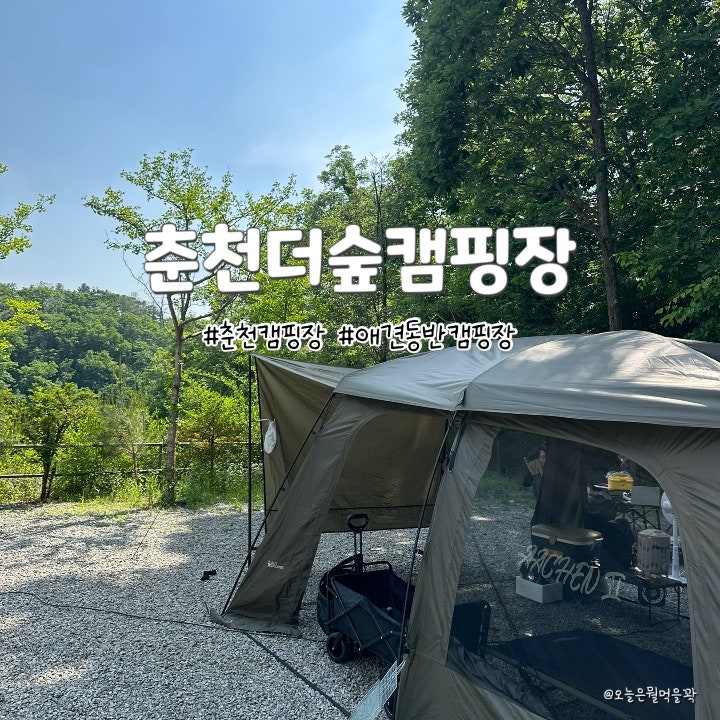 춘천더숲캠핑장 사진 1