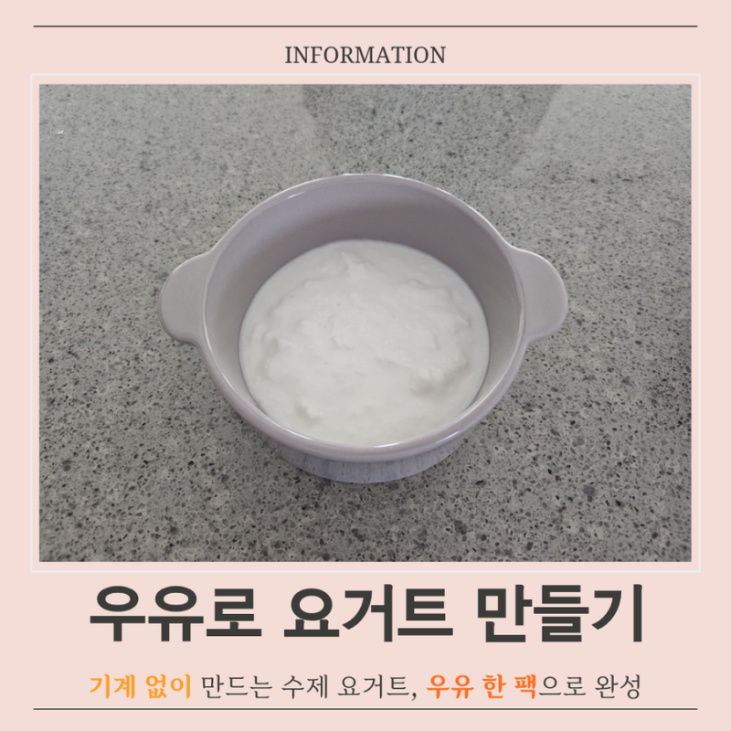우유로요거트만들기 실온 요거트종균 케피어유산균으로 집에서 실패 없이 만드는 법