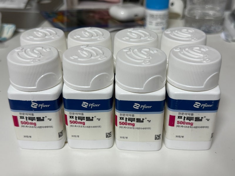 자궁내막증식증/ 자궁내막 제자리암 0기 증상/ 파루탈 500mg 복용 중 부작용 (11개월 복용)