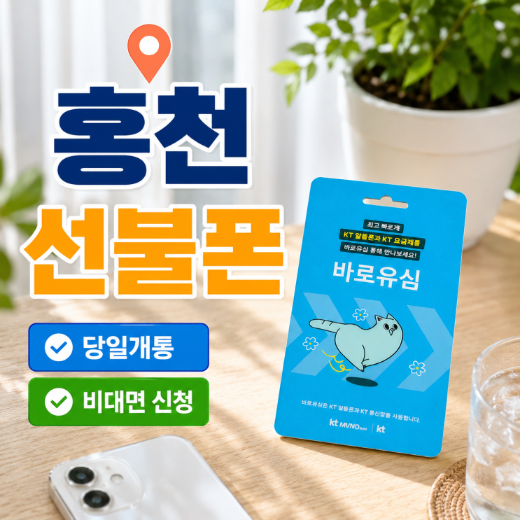  홍천선불폰 개통 진행과정 한 번에 정리