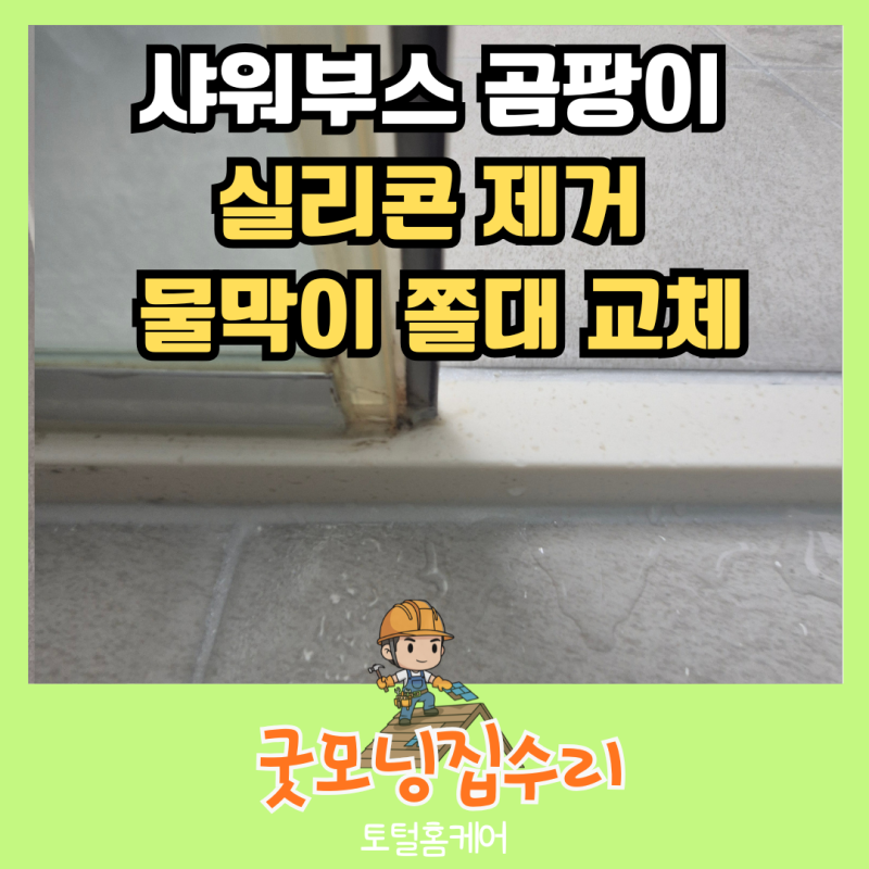 샤워부스 곰팡이 실리콘 제거 물막이쫄대 교체 후기