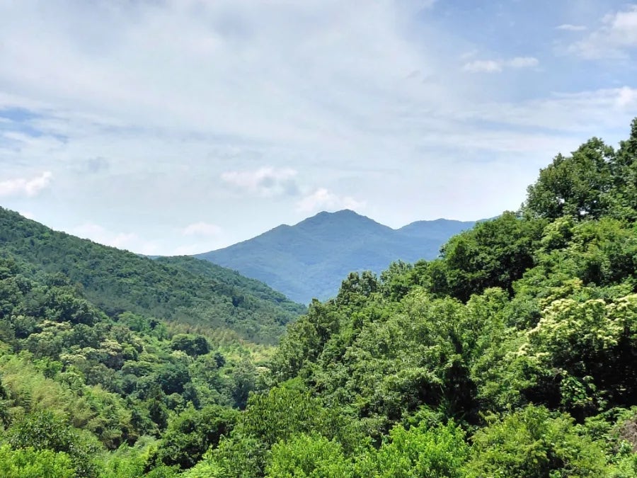 건지산 사진 4