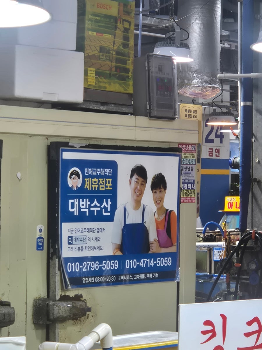 돌고래식당 사진 2