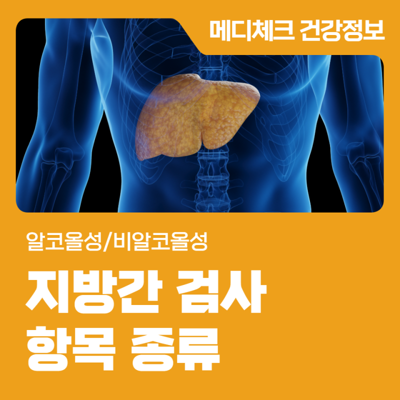 인천 건강검진 예약 알코올성/비알코올성 지방간 검사 항목 종류