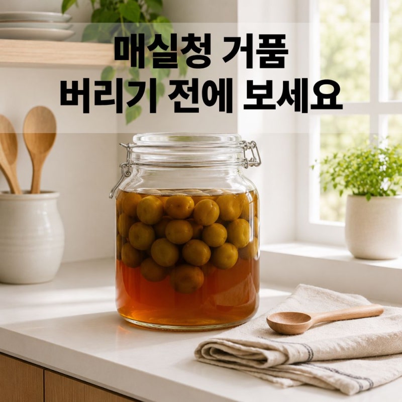 매실청 거품 하얗게 올라올 때 대처법과 올바른 보관법