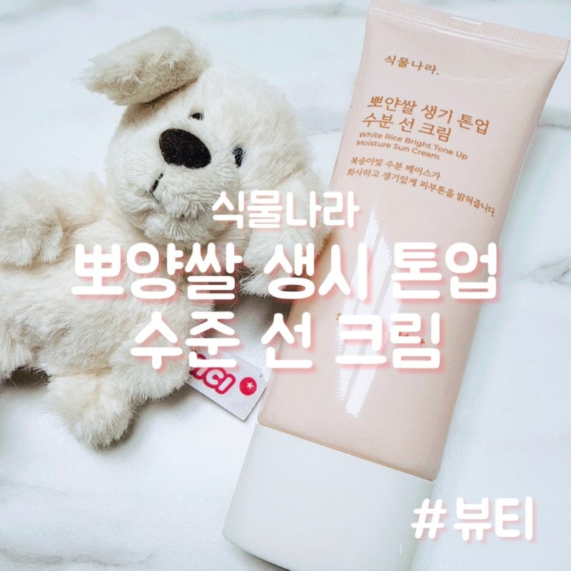 식물나라 뽀얀쌀 생기 톤업 수분 선크림 사용 후기 ☀️