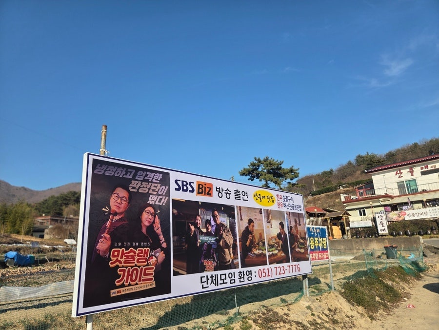 산들애 사진 2