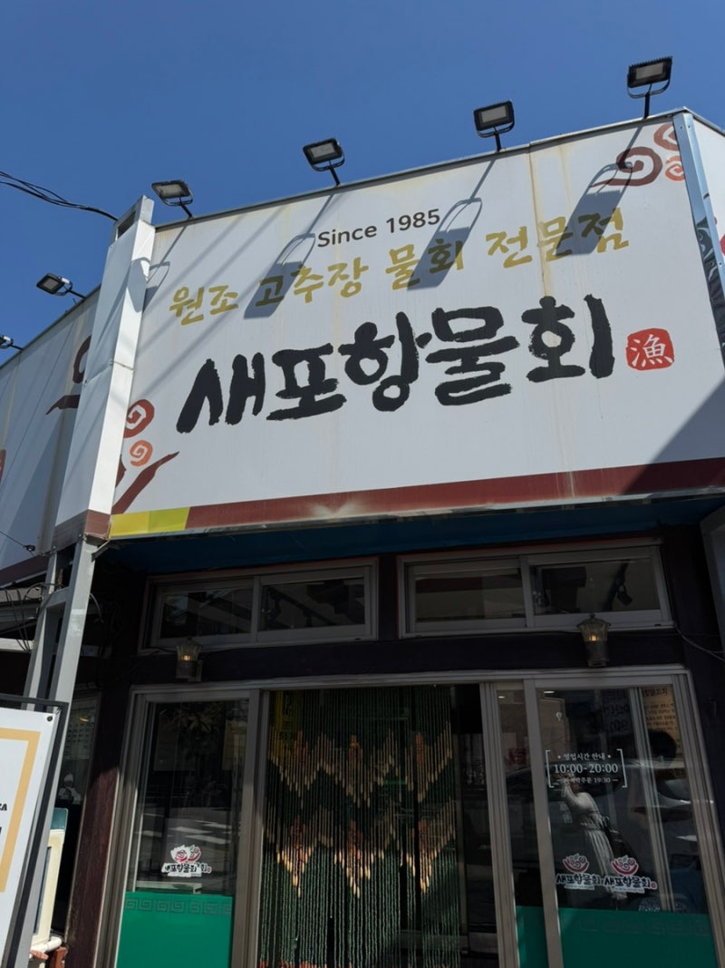 포항 현지인 물회 맛집 내 돈 내산 후기!!