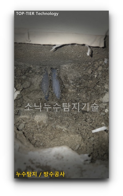 감삼동 빌라 안방 바닥을 벽 쪽으로 굴착해 흙과 모래 속에 묻혀 있던 배관 두 가닥을 드러낸 모습