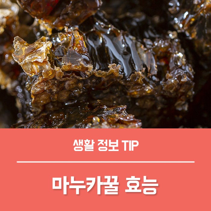 마누카꿀 효능 4가지, 호주 마누카꿀 식도염 관리에 도움 될까?